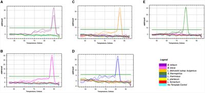 Assessing probiotic viability in mixed species yogurt using a novel propidium monoazide (PMAxx)-quantitative PCR method